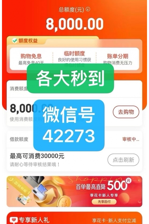 白条是京东为用户提供的一项信用支付服务，可以在京东商城内进行.